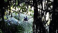 elleso_20190227_5c76e10f8d557.jpg