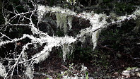 elleso_20190311_5c86a4b10a257.jpg
