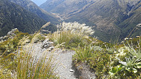 elleso_20190311_5c86ae06d992d.jpg