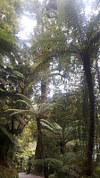 elleso_20190317_5c8e42889eb22.jpg