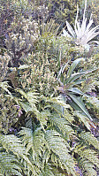elleso_20190317_5c8e56a8223fa.jpg