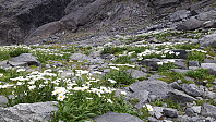 elleso_20190317_5c8e78095cf60.jpg