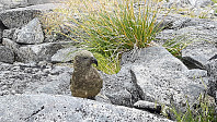 elleso_20190317_5c8e782694883.jpg