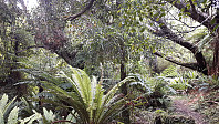 elleso_20190317_5c8e9896cbb14.jpg