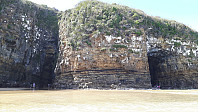 elleso_20190317_5c8ea23c55cc7.jpg