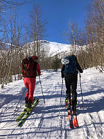 elleso_20190416_5cb579a6967cf.jpeg