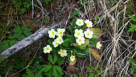 elleso_20190501_5cc9e921166d9.jpg