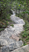elleso_20190501_5cc9e931cec77.jpg