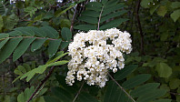 elleso_20190622_5d0e7533107c3.jpg