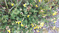 elleso_20190622_5d0e7c02e4532.jpg