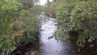 elleso_20190622_5d0e7c1337a90.jpg