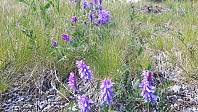 elleso_20190627_5d14fddc687d9.jpg