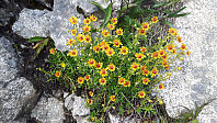 elleso_20190809_5d4d29dee8f95.jpg