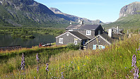 elleso_20190809_5d4d2a01500a9.jpg