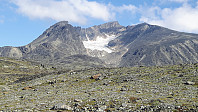 elleso_20190811_5d50557af2e71.jpg