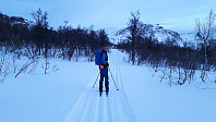 elleso_20200223_5e527596ade76.jpg