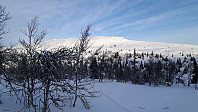 elleso_20200227_5e57f8626a872.jpg