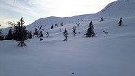 elleso_20200227_5e57f866826ed.jpg