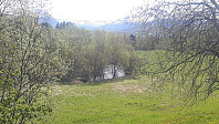 elleso_20200706_5f0314b5292c6.jpg