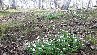 elleso_20200706_5f0314c828fac.jpg