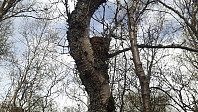elleso_20200706_5f0314d141735.jpg