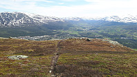 elleso_20200706_5f0314d8b9e68.jpg