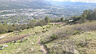 elleso_20200706_5f0314e286779.jpg