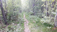 elleso_20200706_5f03174d55ccf.jpg