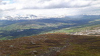 elleso_20200706_5f03192736473.jpg