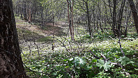 elleso_20200706_5f03193f4194d.jpg