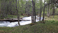 elleso_20200706_5f03194a9bc5b.jpg