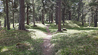 elleso_20200706_5f0319559c207.jpg