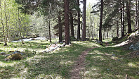 elleso_20200706_5f031961d64c0.jpg