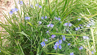 elleso_20200706_5f032555e3402.jpg