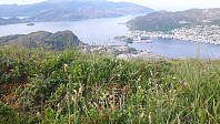 elleso_20200706_5f032c0154151.jpg