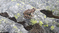 elleso_20200706_5f032c06304bd.jpg