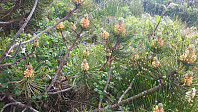 elleso_20200706_5f032c10d15f1.jpg