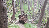 elleso_20200706_5f032c1623fc4.jpg