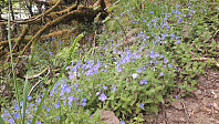 elleso_20200706_5f032c1aabbb1.jpg
