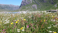 elleso_20200706_5f0375e34e35d.jpg