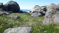 elleso_20200706_5f0375eea25f7.jpg