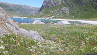 elleso_20200706_5f0375fb7623e.jpg