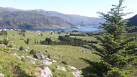 elleso_20200706_5f03763de968a.jpg