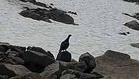 elleso_20200706_5f039881521a0.jpg