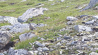 elleso_20200712_5f0b61e644fe4.jpg
