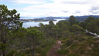 elleso_20200712_5f0b61ecc7d7f.jpg