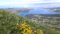 elleso_20200712_5f0b62c5b0369.jpg