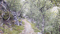 elleso_20200820_5f3e2f1abc7f5.jpg