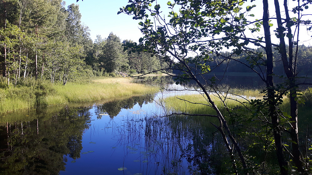 Sagvannet.