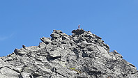 elleso_20200821_5f3f6cae56bba.jpg